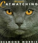  Illustrated Catwatching (Paperback) cover